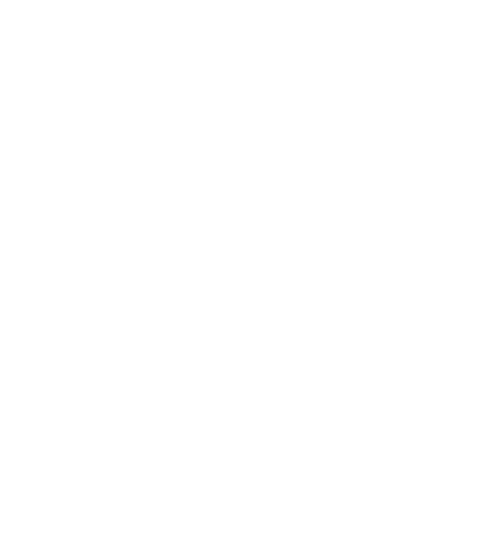 DS Driveways & Patios logo